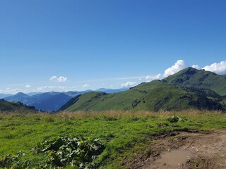 IMG-20160813-WA0058 - Kopie