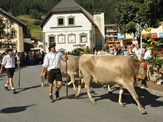 TVBStubaiTirol_AlmabtriebFulpmes_3