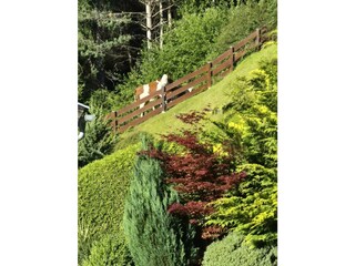 Apartment Fulpmes Features 72