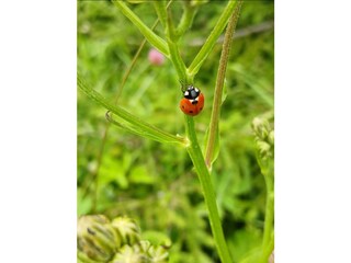 Apartment Fulpmes Außenaufnahme 14