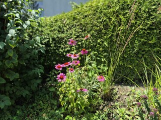 Apartment Fulpmes Outdoor Recording 21