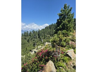 Apartment Fulpmes Outdoor Recording 27