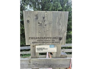 Apartment Fulpmes Outdoor Recording 29