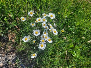 Apartment Fulpmes Outdoor Recording 30