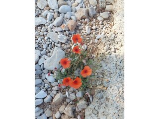 Apartment Fulpmes Outdoor Recording 33