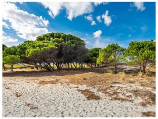 Apartment La Caletta Outdoor Recording 3