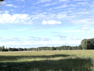 Felder am Spazierweg