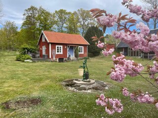 Holiday house Nättraby Outdoor Recording 6