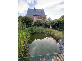 Ferienhaus Barth Außenaufnahme 3