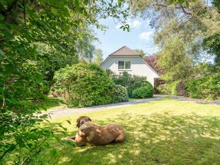 Gartenblick