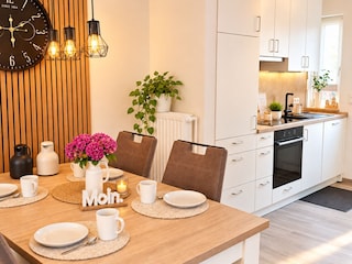 Ferienhaus-moin-Seeblick-heede-wohnkueche-bild1