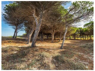 Apartment La Caletta Outdoor Recording 1