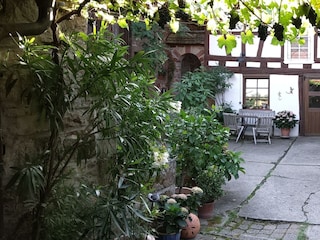 Urlaub im Kastanienhof