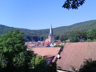 Ausblick von unserem Gemüsegarten