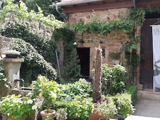 Rosenwoche im Bad Bergzaberner Land