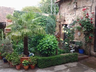 Blick aus dem Fenster der Ferienwohnung