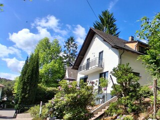 Blick vom Waldrand auf das Haus