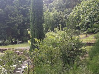 Garten mit Obstbäume