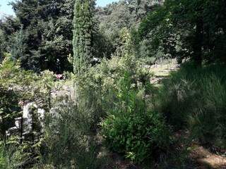 Garten und Wald