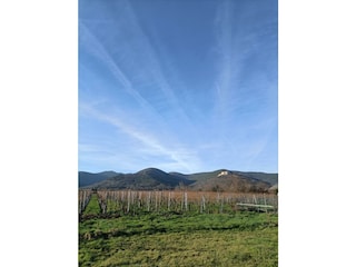 Blick auf die Haardt