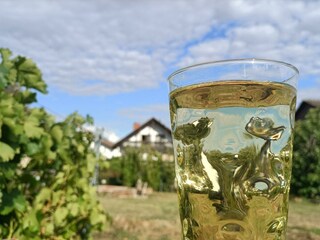 Apartamento Maikammer Grabación al aire libre 9