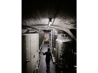 2025_03_Pfalz_B1A0162_1_final_web