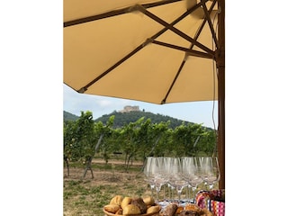 WhatsApp Bild 2025-09-12 um 11.00.06_014398cb