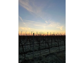 WhatsApp Bild 2025-09-12 um 11.03.41_41a4a6f6