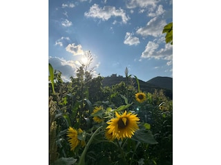 WhatsApp Bild 2025-09-12 um 11.21.37_ab4a7c6e