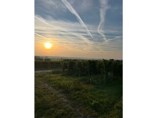 Appartement Maikammer Buitenaudio-opname 17
