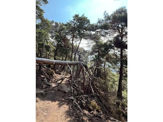 WhatsApp Bild 2025-09-12 um 11.29.17_93b7a320