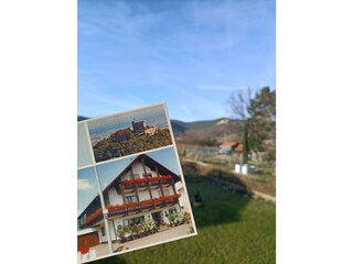 Das Gästehaus vorm Pfälzer Wald