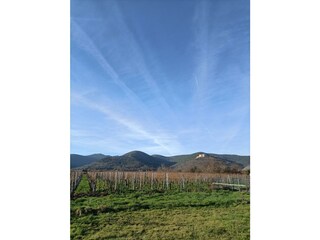 Blick auf die Haardt