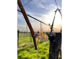 IMG-20240406-WA0003 - Kopie