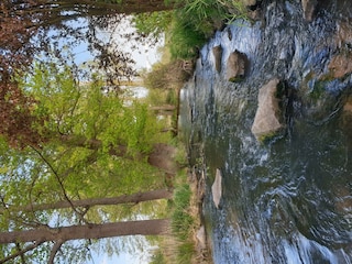 20210509_180636 - Kopie - Kopie