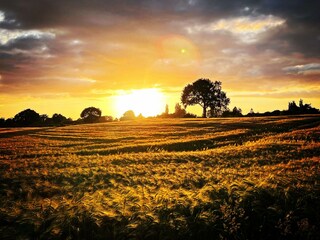 Sonnenuntergang von der Terrasse aus