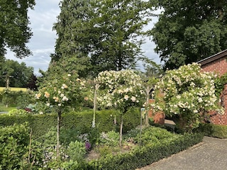 Ferienwohnung Ostbevern Außenaufnahme 3