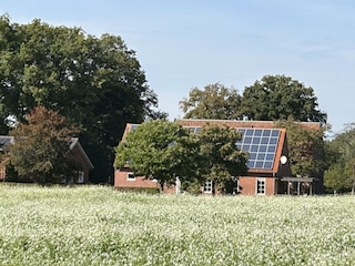 Ferienwohnung Ostbevern Außenaufnahme 2