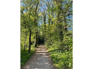 Wanderweg um das Zwischenahner Meer