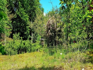 Hotel Hafendorf Rheinsberg Environment 27