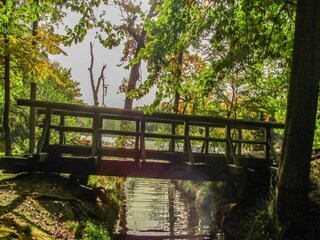 Apartment Hafendorf Rheinsberg Umgebung 17
