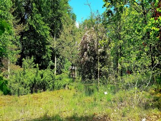 Apartment Hafendorf Rheinsberg Umgebung 21