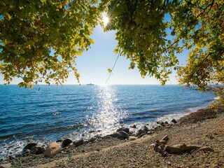 Appartamento Neddesitz Ambiente 28