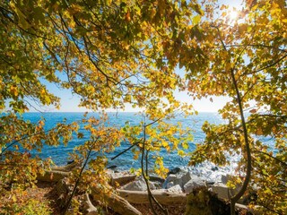 Appartement Neddesitz Omgeving 23