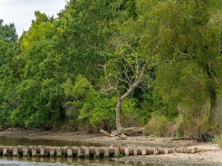 Apartment Neddesitz Environment 24