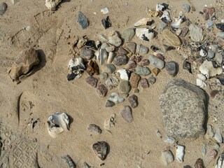 Appartamento Neddesitz Ambiente 25