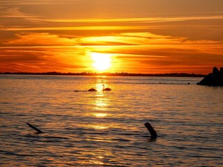 Appartamento Neddesitz Ambiente 27