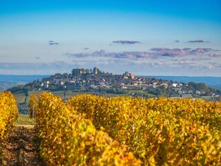 Vakantiehuis Santranges Omgeving 12