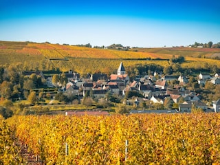 Ferienhaus Santranges Umgebung 14