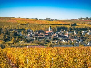 Vakantiehuis Santranges Omgeving 13